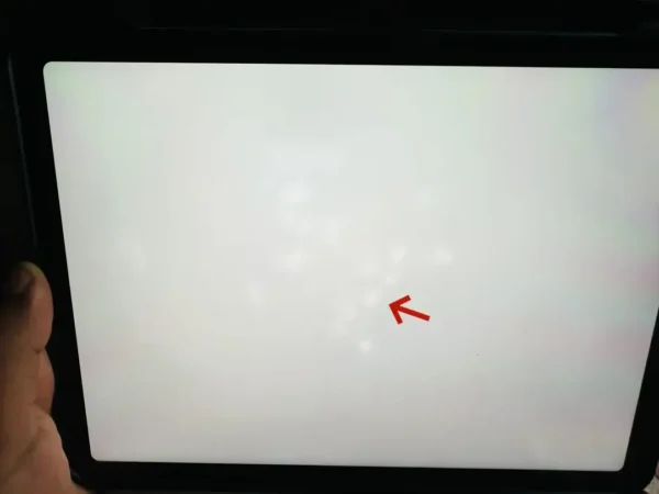 White Dots on iPad Screen