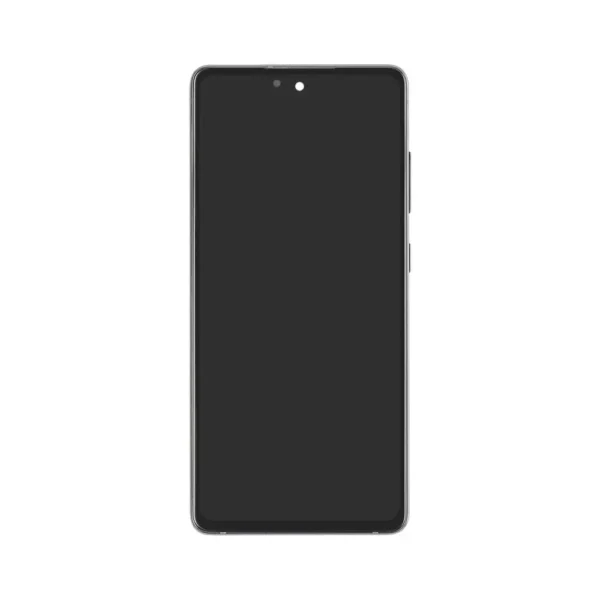 Samsung Galaxy S20 FE OLED Assembly with Frame