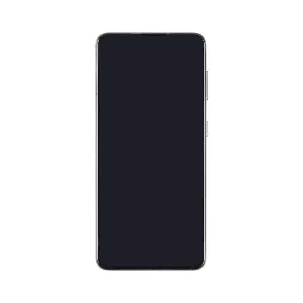 Samsung Galaxy S21 OLED Assembly with Frame