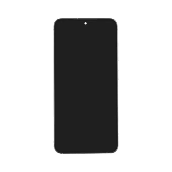 Samsung Galaxy S24 OLED Assembly with Frame