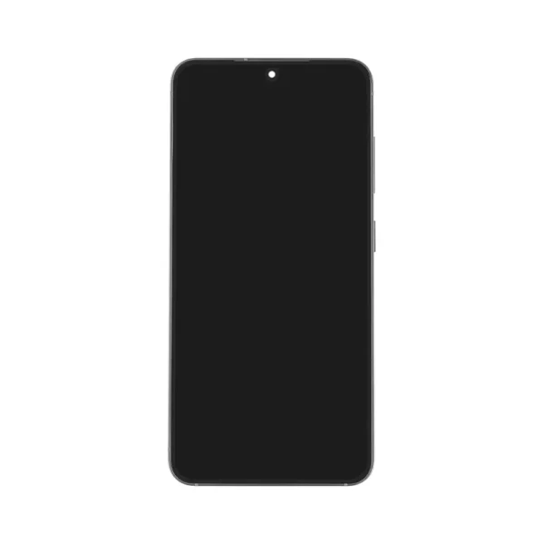 Samsung Galaxy S25 OLED Assembly with Frame